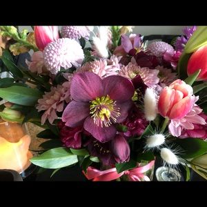 Meet your Posher, Erin